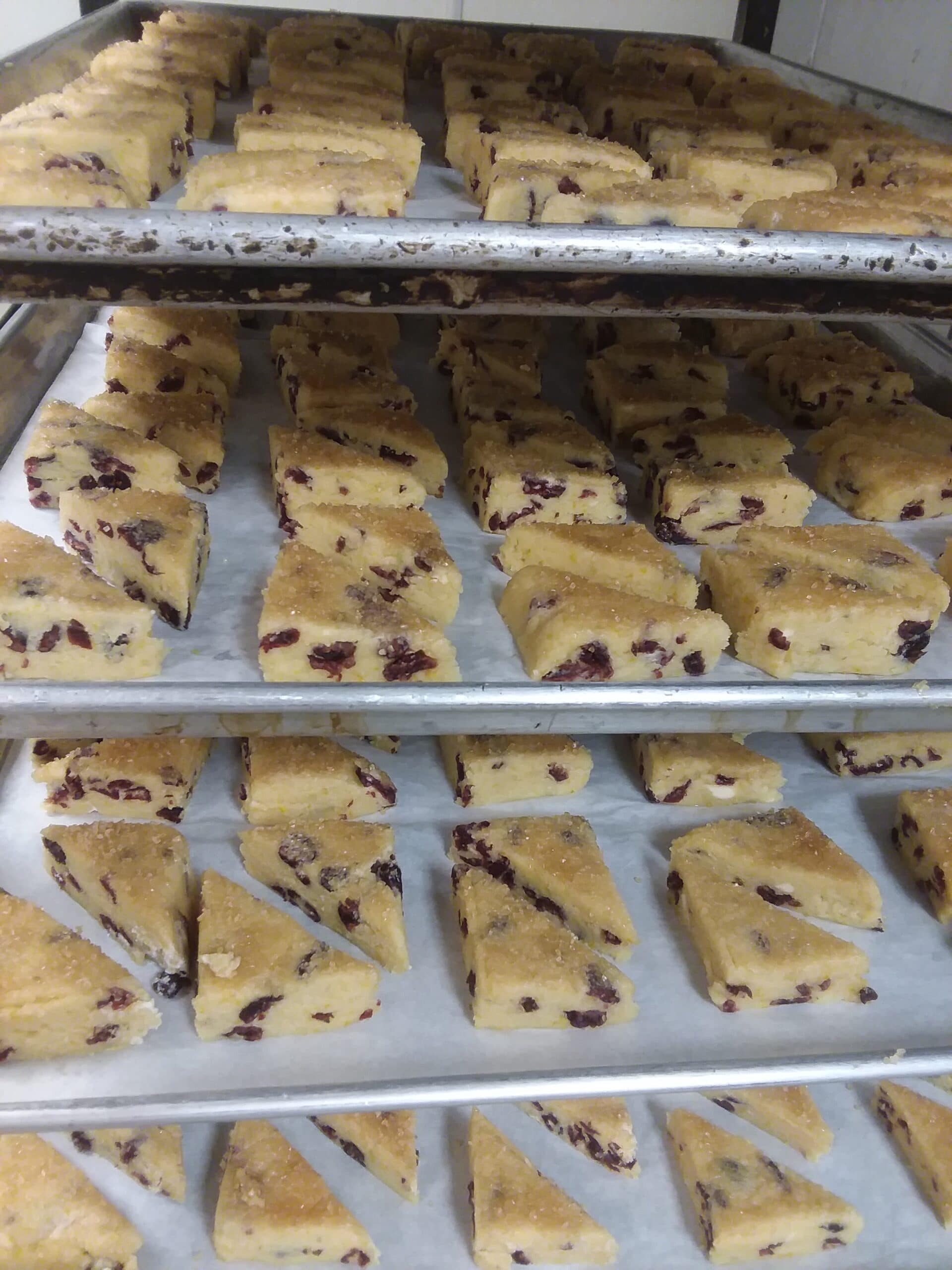 Trays of freshly baked, triangular cranberry scones cooling on parchment paper.