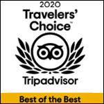 Logo for the 2020 Travelers' Choice award by Tripadvisor.